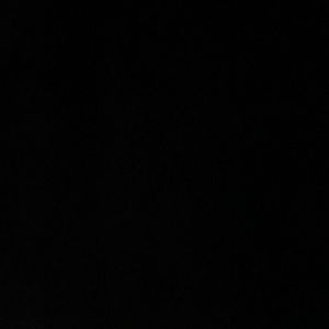 Meet your Posher, Madi